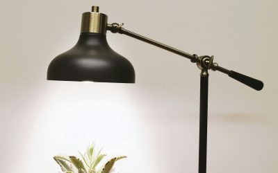 Miért érdemes fényforrásként egy fekete asztali lámpát választani?