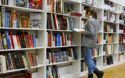 Melyiket válasszuk: anyanyelvű könyvek vagy idegen nyelvű irodalom?